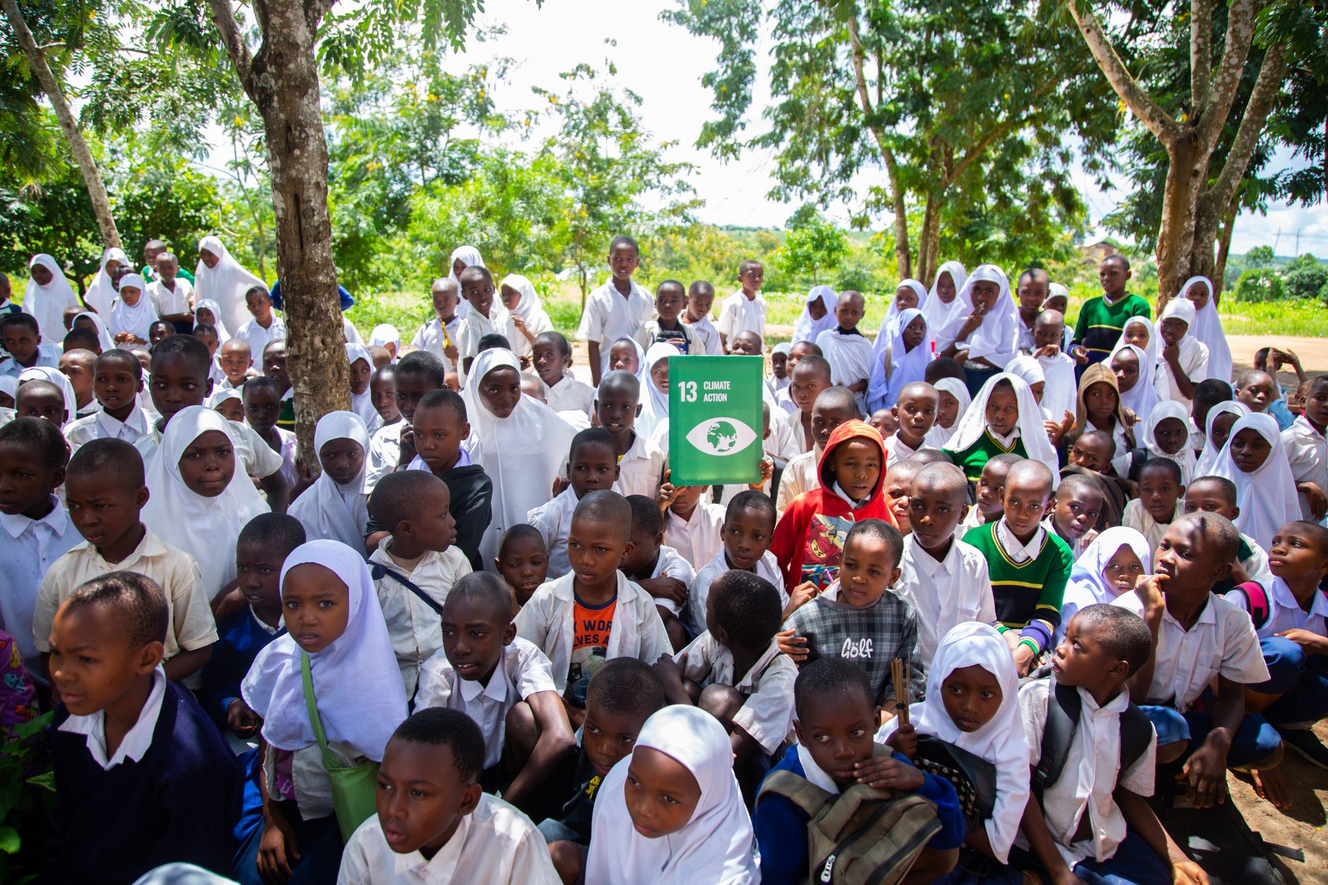 Understanding the Impact of Education on Social Development